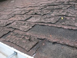 failure-roof-shingles